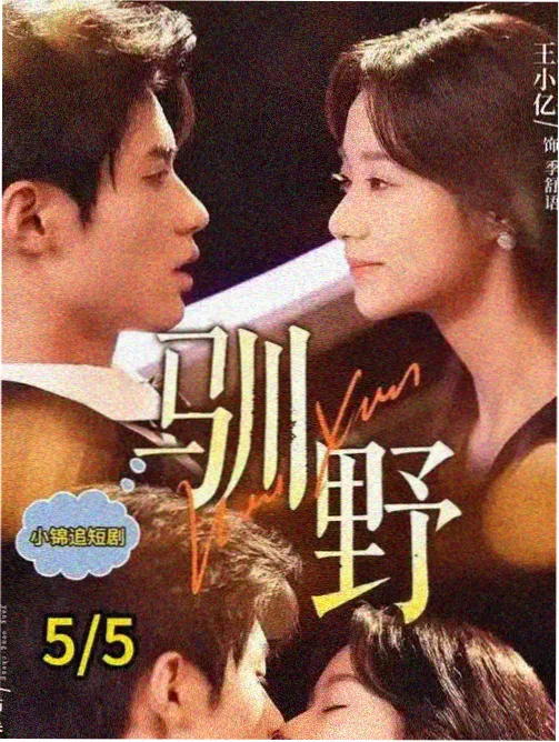 免费在线看 乘风2024